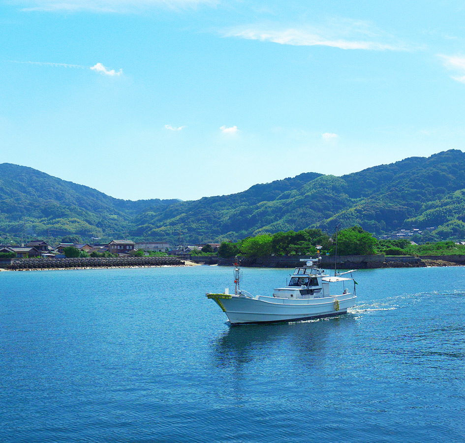 運行スケジュールのイメージ